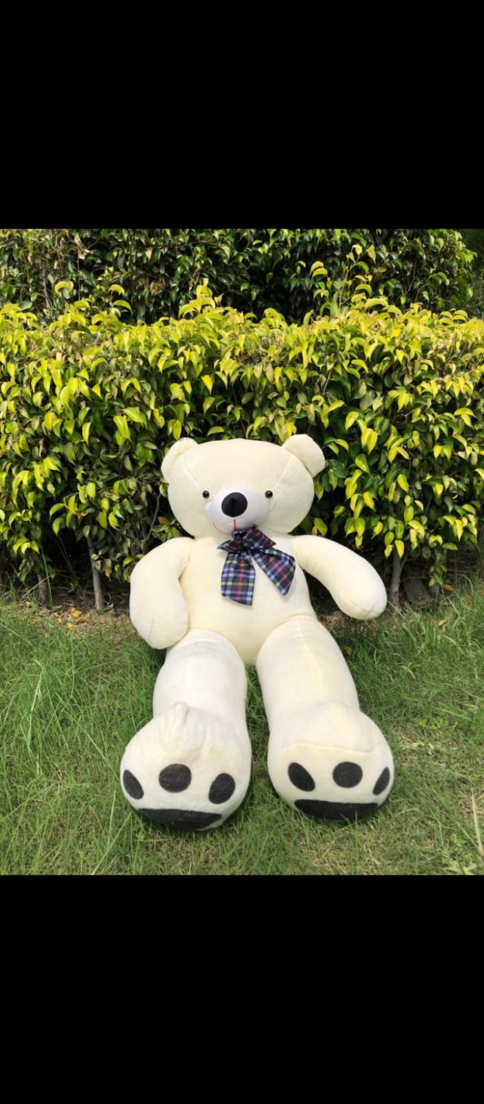 Soft Teddy for all kids, couples - 6ft Birthday and Anniversary gifts.