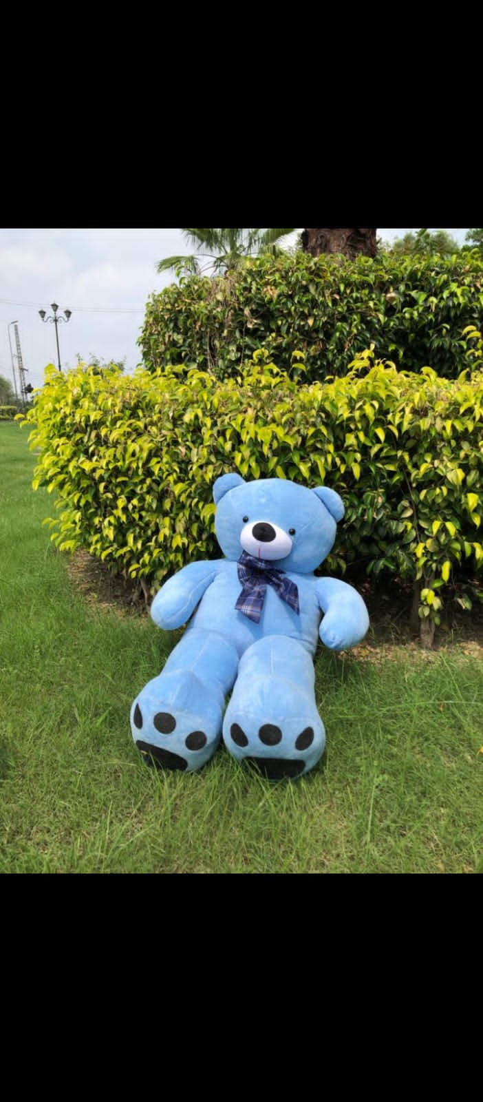 Soft Teddy for all kids, couples - 6ft Birthday and Anniversary gifts.